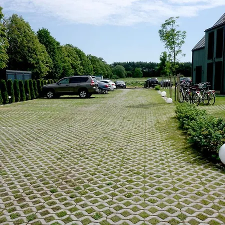 4 Palanga